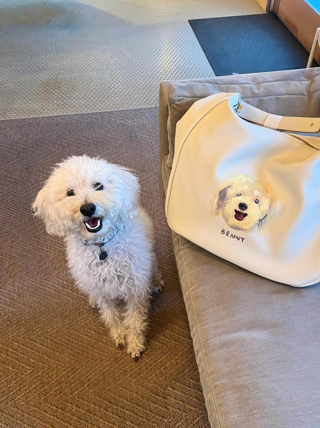 Pet Portrait Painting