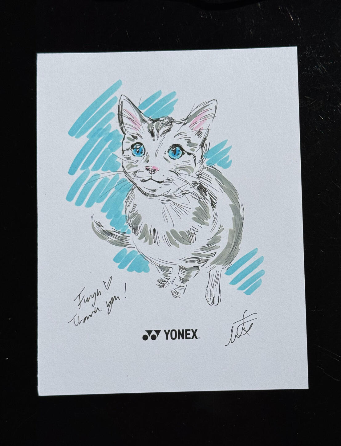 Pet Portrait Pet Portrait