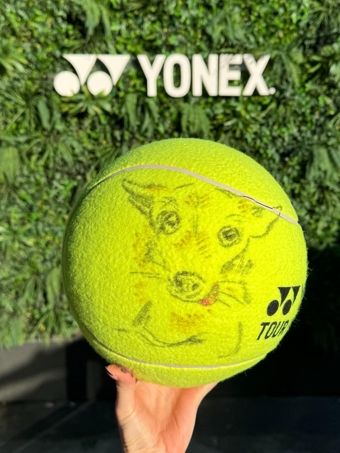 Pet Portrait Pet Portrait