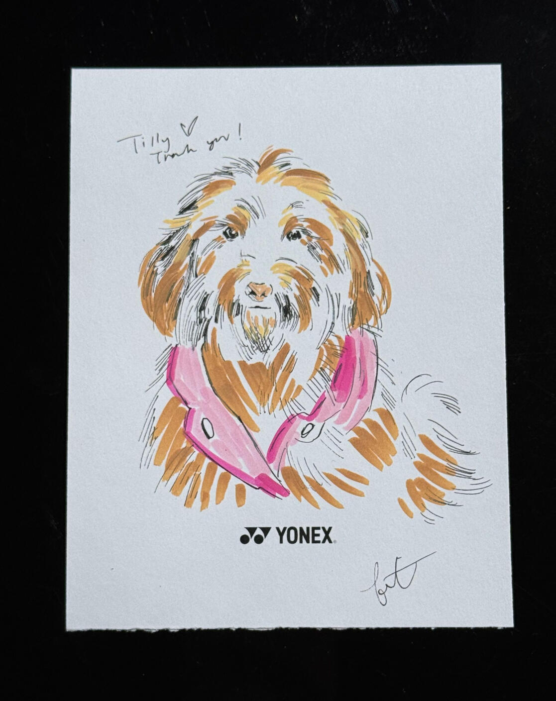 Pet Portrait
